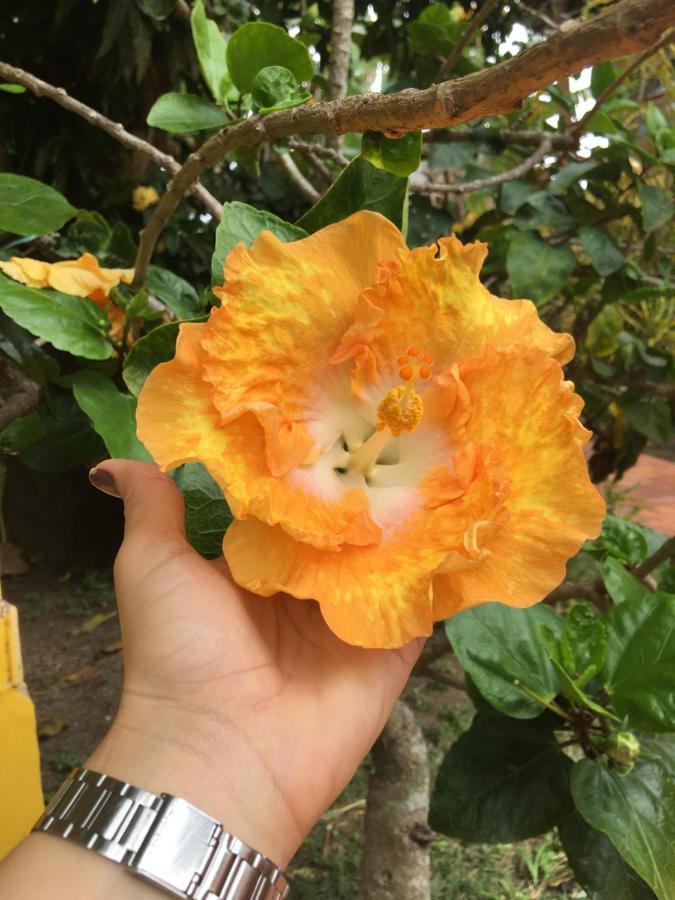 Pousada Bella Geriba Buzios Buitenkant foto